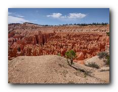 Bryce Canyon NP 62.jpg